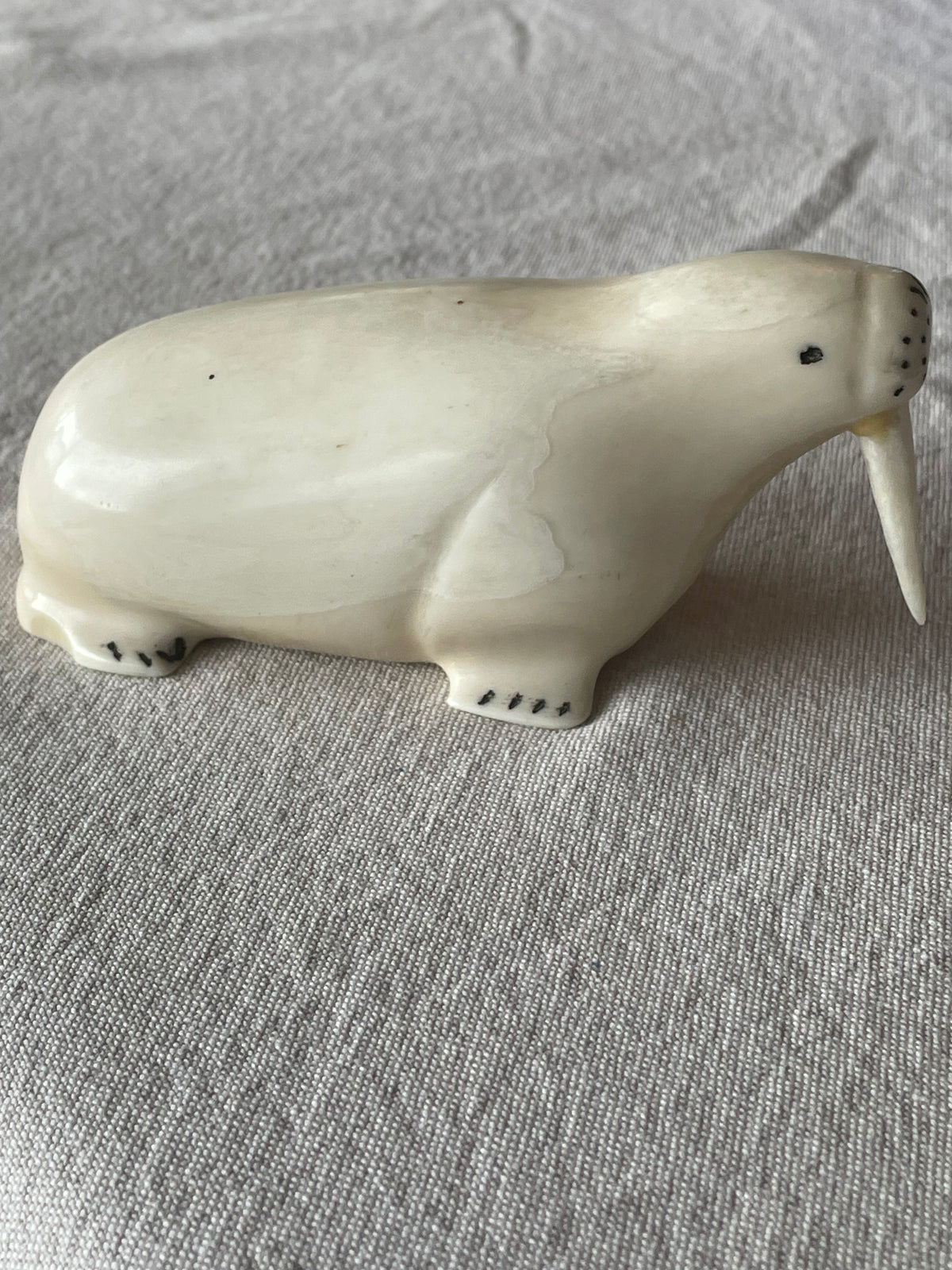 Ivory Walrus carved by Jerry Hawley