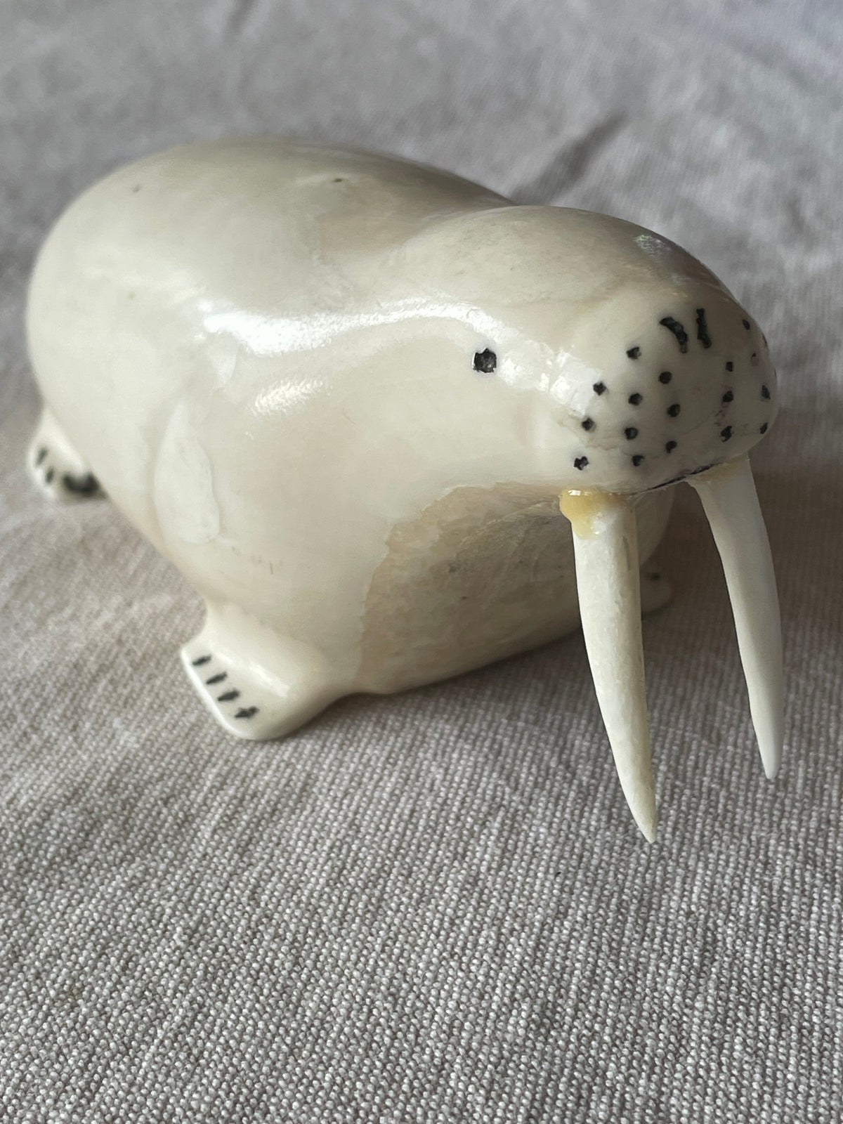 Ivory Walrus carved by Jerry Hawley