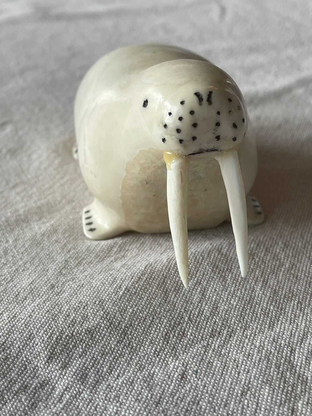 Ivory Walrus carved by Jerry Hawley