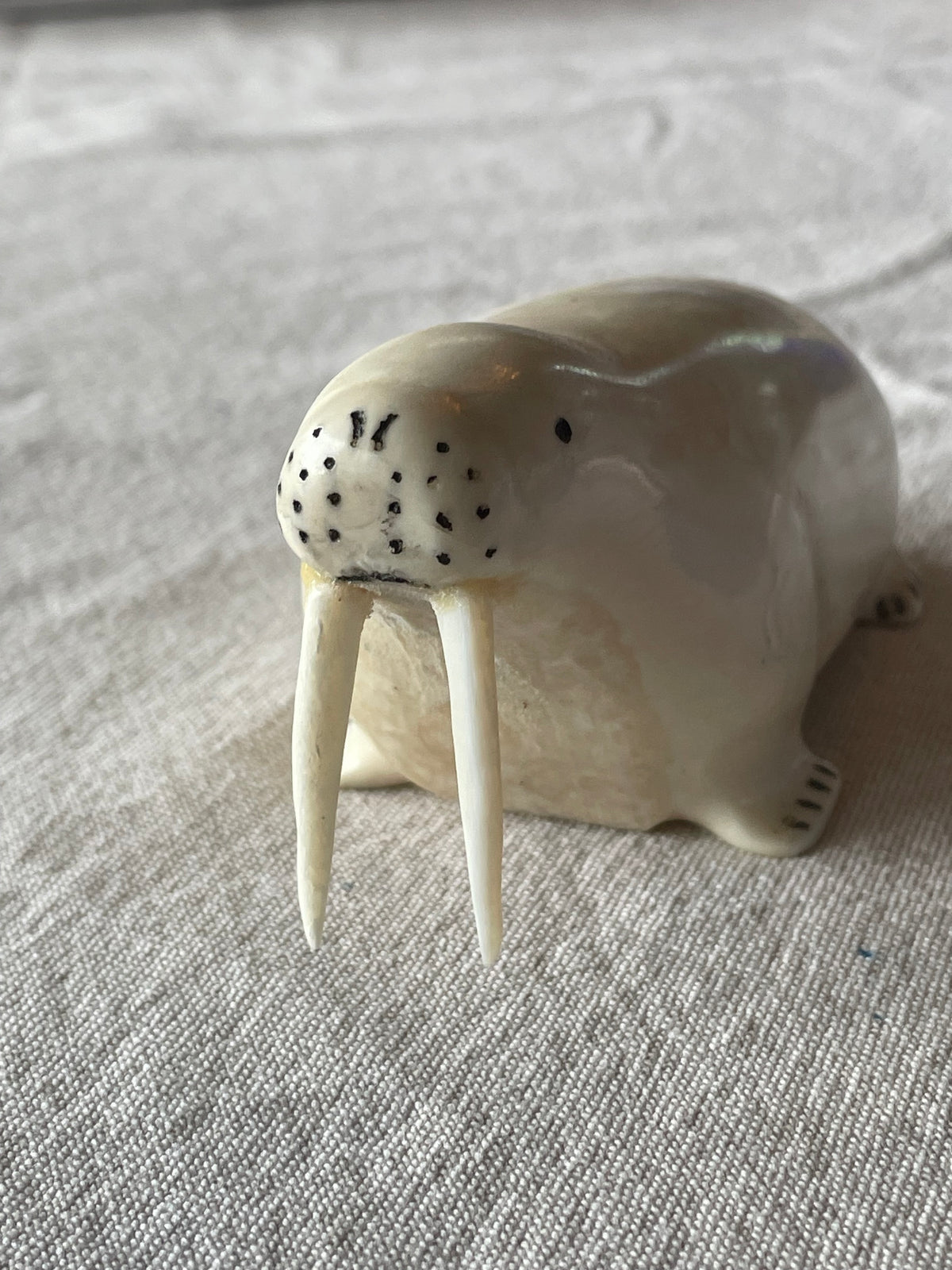 Ivory Walrus carved by Jerry Hawley