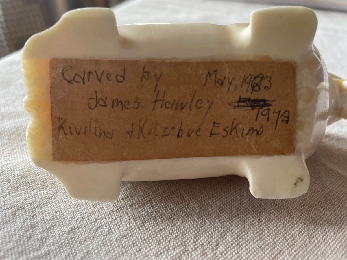 Ivory Walrus carved by Jerry Hawley
